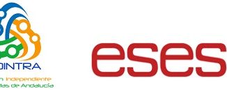 Logo Fedintra ESESA